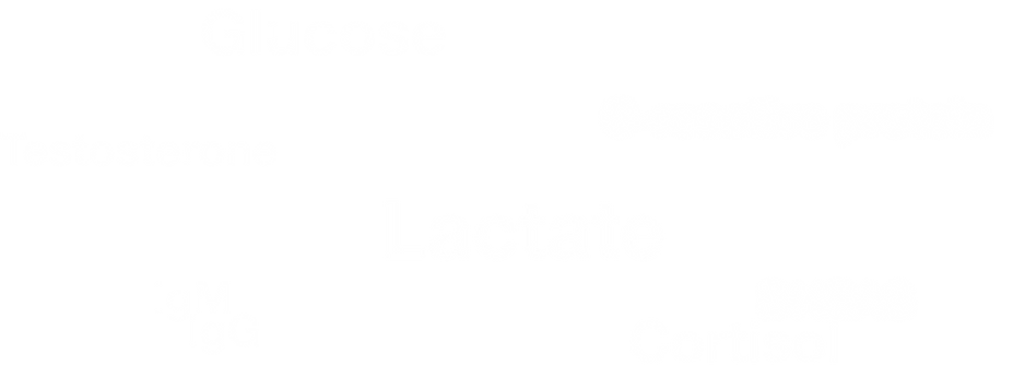 Asset 9@4x.png